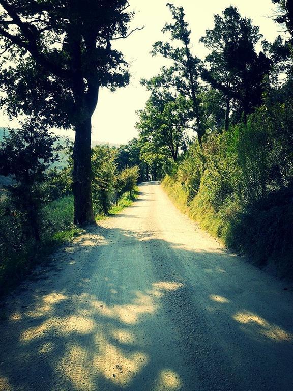 Agriturismo Le Vigne 폴리뇨 외부 사진