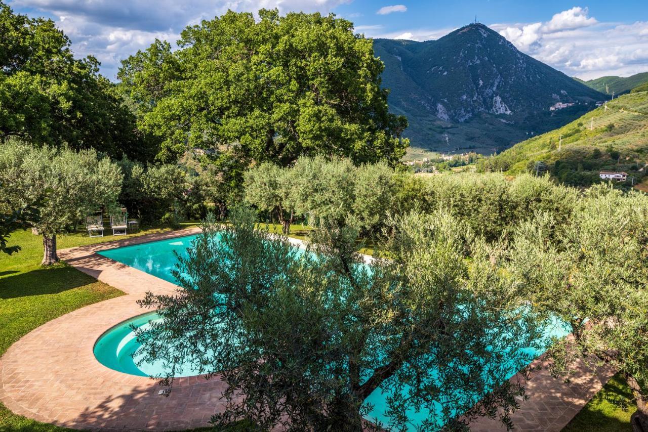 Agriturismo Le Vigne 폴리뇨 외부 사진